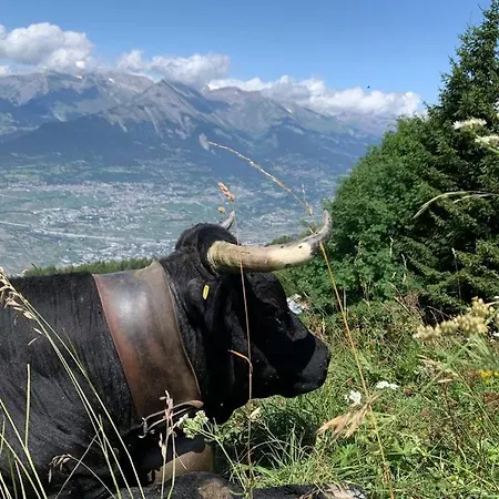 3 Pièces 4 Vallées Appartamento *