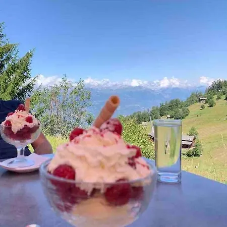 3 Pièces 4 Vallées Veysonnaz