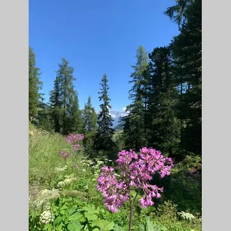 Appartamento 3 Pièces 4 Vallées Veysonnaz